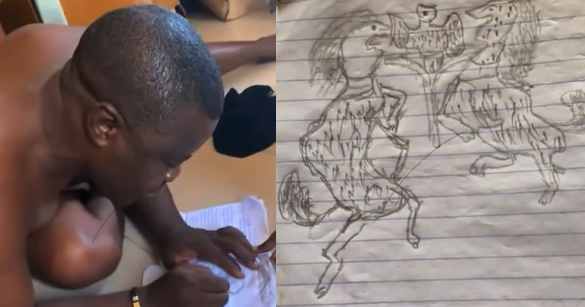 “He actually intended to draw it well o” – Lady Reveals Humorous Nigerian Coat of Arms Drawn by Her Father (WATCH)