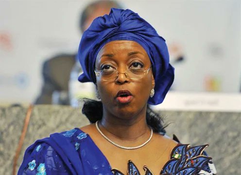 Diezani Loot: FG Allocates $52m to Power Rural Electrification Project