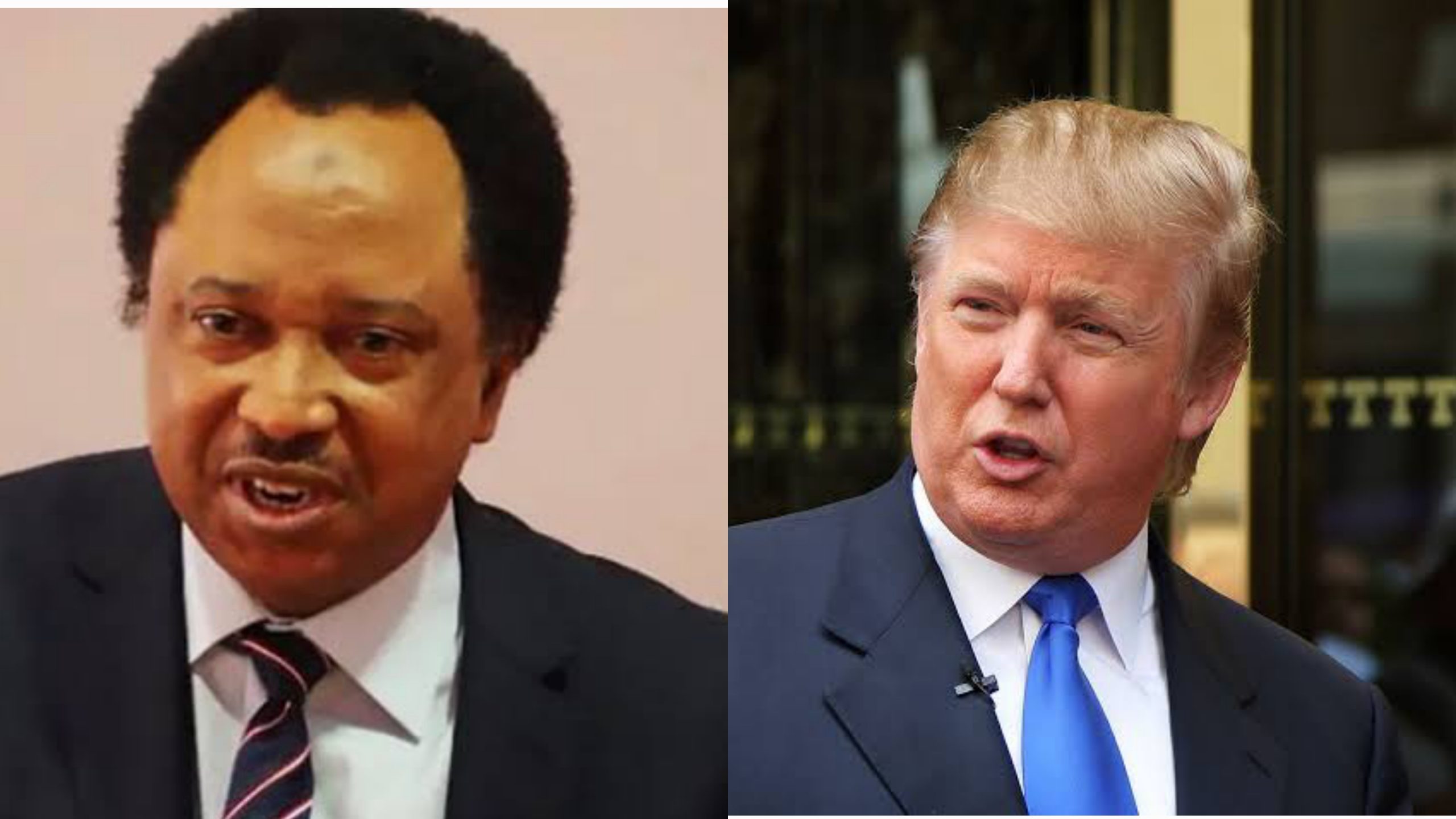 Shehu Sani: Trump Will Face Unprecedented Resistance from Allies, Foes Alike