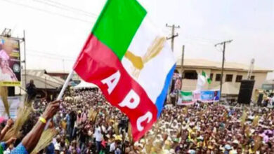 APC flag