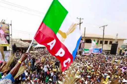 APC flag