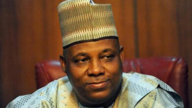 Borno Governor Kashim Shettima