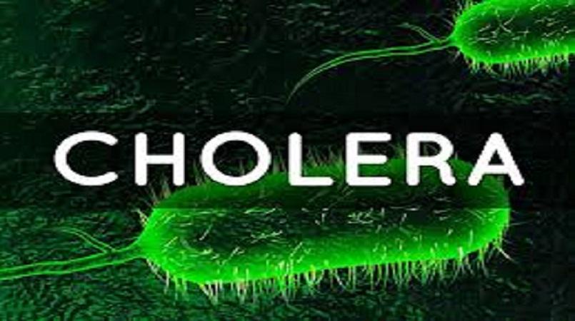 Cholera cholera