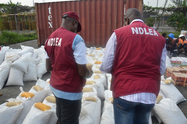 NDLEA arrests 536 suspects, seizes 4,880kg of drugs in Adamawa