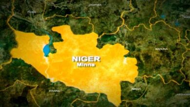 NIGER STATE MAP