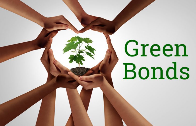 Nigerias green bond market