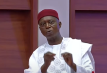 Senator Ned Nwoko