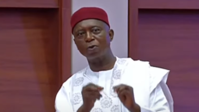 Senator Ned Nwoko