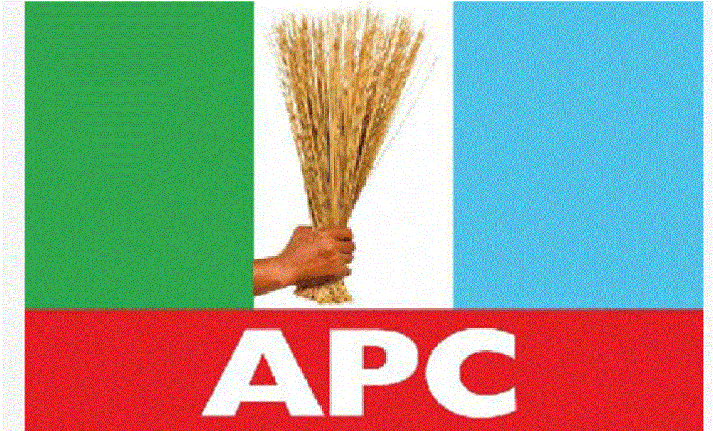 apc flag logo