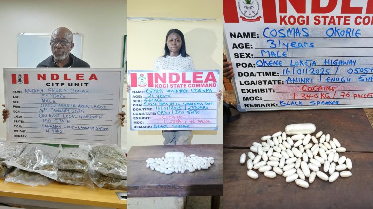 NDLEA Thwarts Nursing Student’s Attempt to Smuggle Cocaine to India