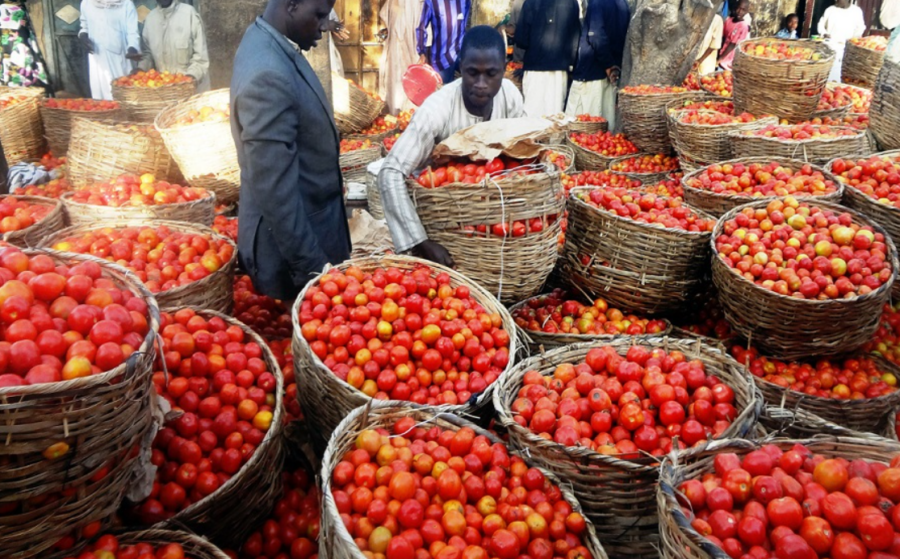 tomatoes market e1691471642765