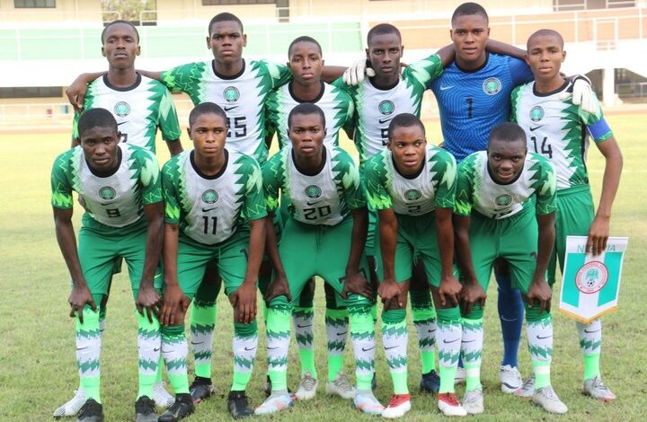 1738884608 Golden Eaglets