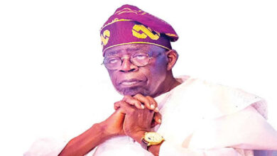 1740379566 TINUBU