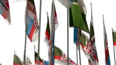 APC flags