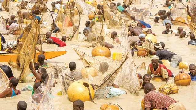 Argungu Fishing Festival