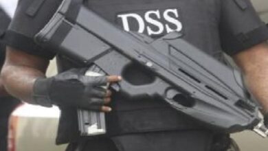 DSS 2 1200x720 1