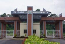 Elizade University gate