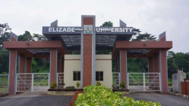 Elizade University gate