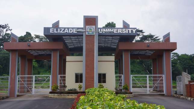 Elizade University gate