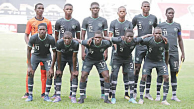 Golden Eaglets