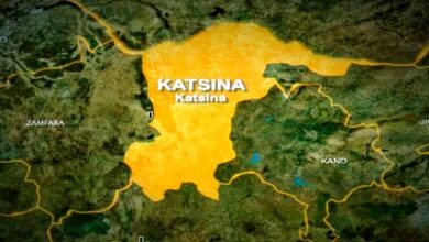 Katsina map