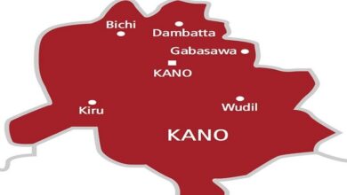 Map of Kano State