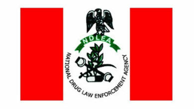 NDLEA 1 768x404 1