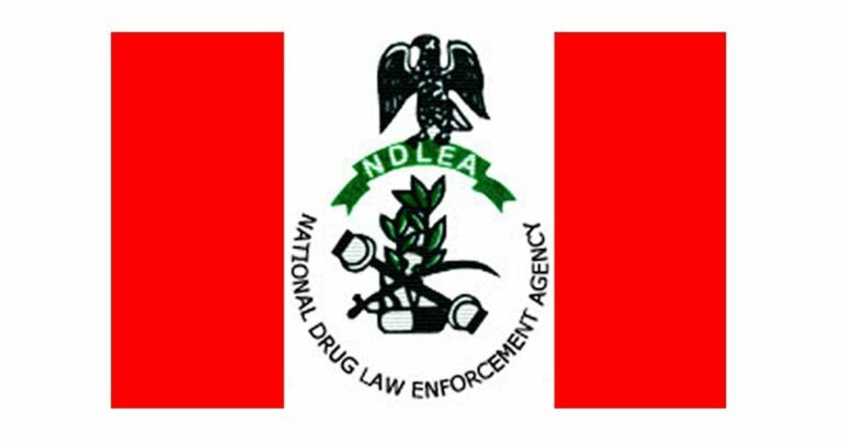 NDLEA 1 768x404 1