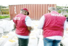 NDLEA OFFICIALS