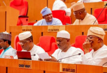 Ndume Laments Senate