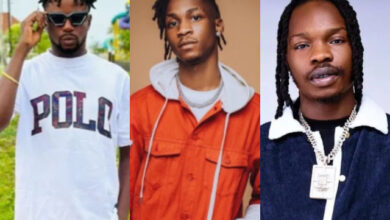 Stanley Ontop Lil Smart Naira Marley