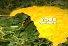 Yobe State map