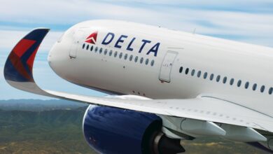 delta airline