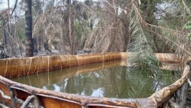 A dumpsite filled with stolen crude oil recovered by troops of 6 Division Nigeria Army Port Harcourt