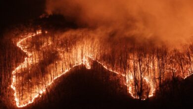 AFP 20250324 37NQ4CD v2 Preview TopshotSkoreaEnvironmentFire 1200x630