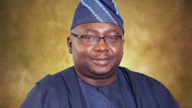 Bayo adelabu profile picture