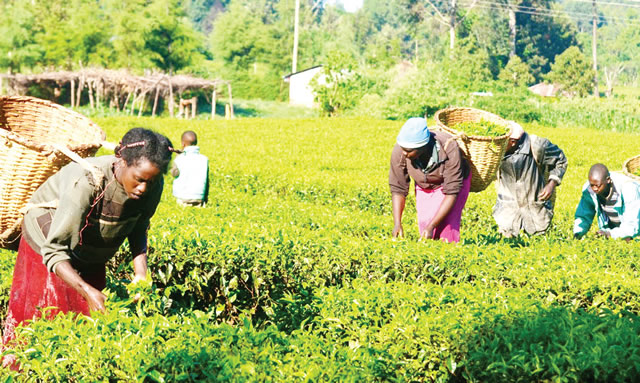 Farming