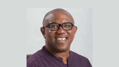 Labour Party Presidential Candidate Peter Obi