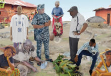 Mayhem in farms as herders