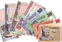 Naira Notes