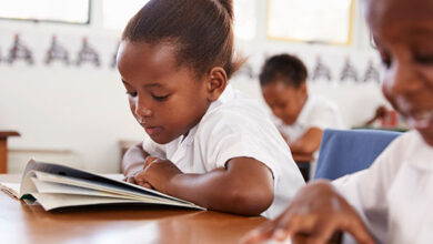 Pupils reading