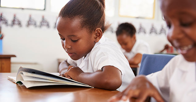 Pupils reading