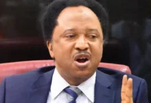 Shehusani 2.webp