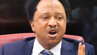 Shehusani 2.webp