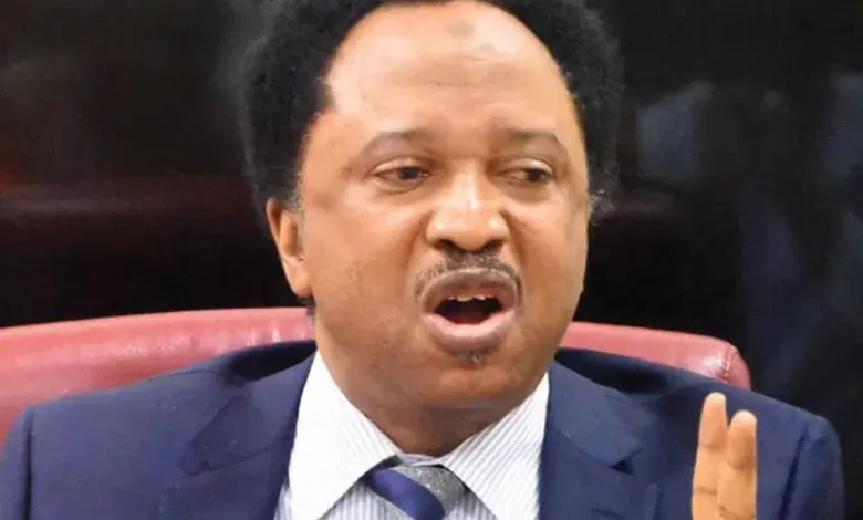 Shehusani 2.webp