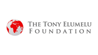 Tony Elumelu Foundation