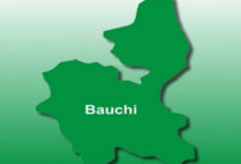 bauchi state map