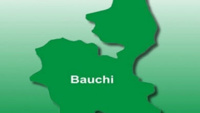 bauchi state map