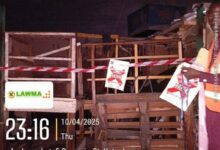 IMG 4936 510x630