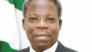 The Director General of the Bureau of Public Enterprises Ayodeji Ariyo Gbeleyi